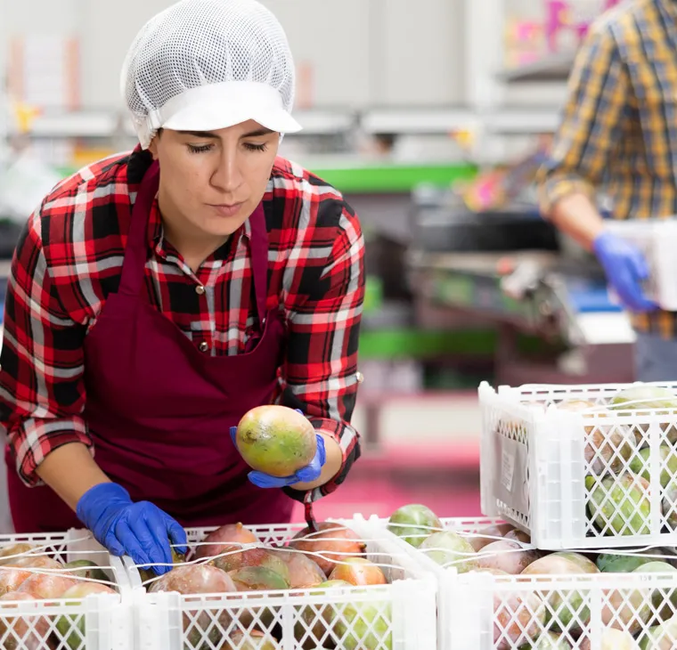 True Cost of Manual Ripening featured thumb