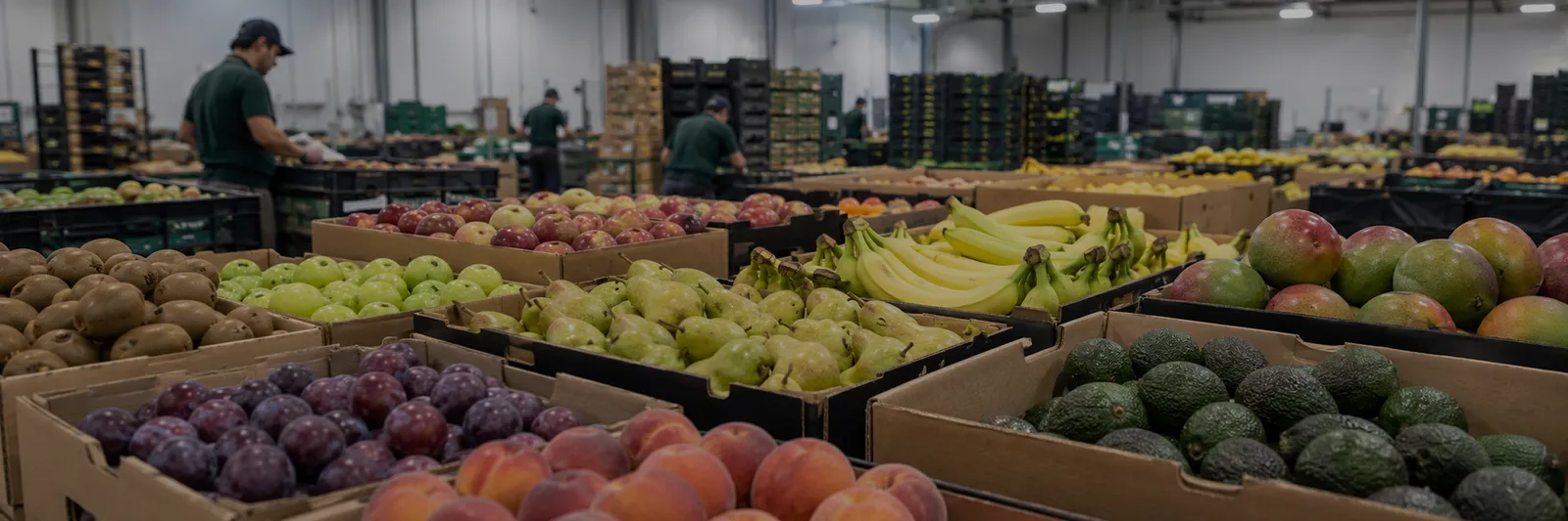 Climacteric fruit ripening header
