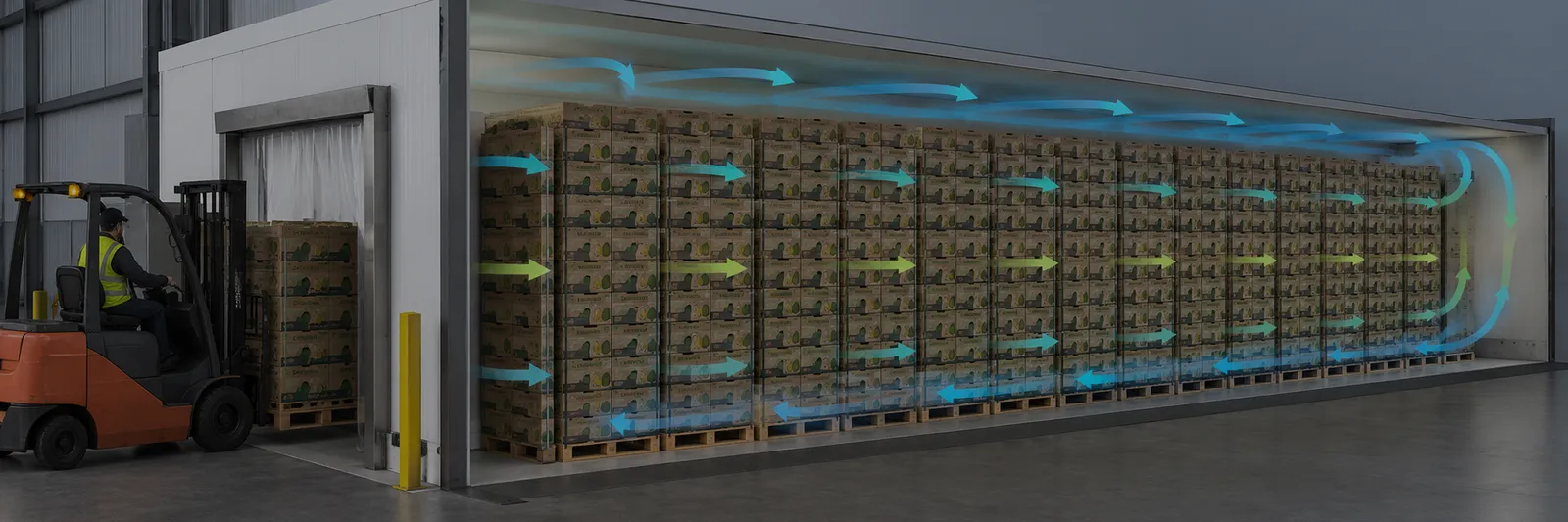 Ripening room airflow header