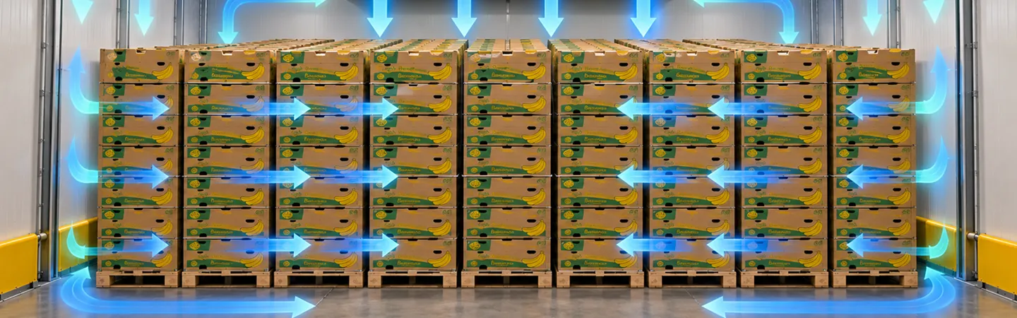 Airflow inside ripening room