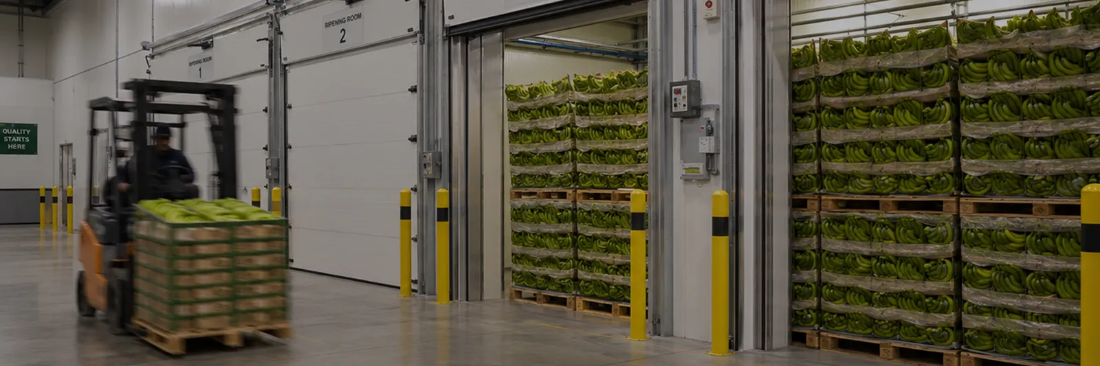 Ripening&nbsp;room&nbsp;retrofits header