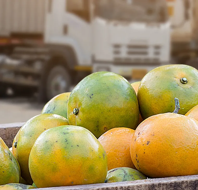Cold chain logistics featured thumb